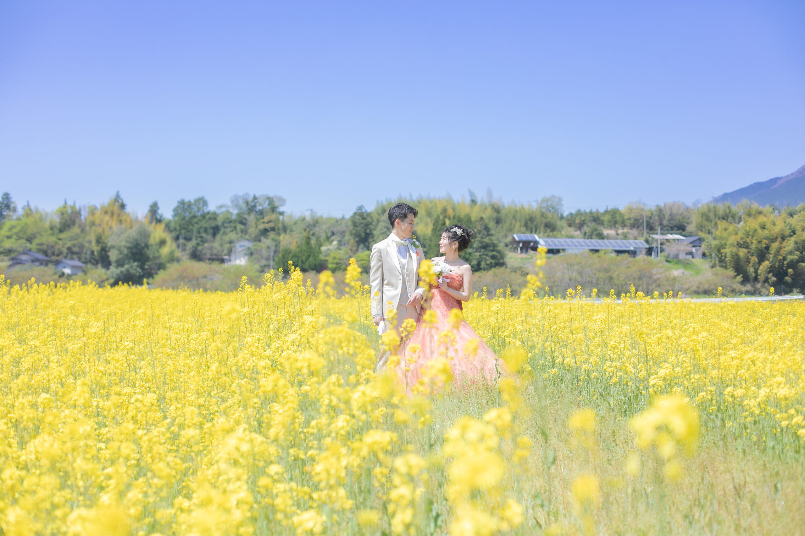 菜の花シンボルロード♪