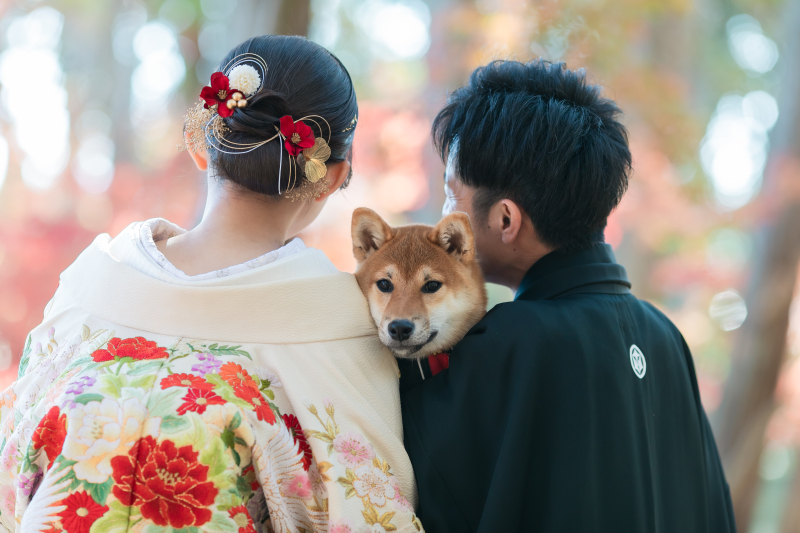 ペットと一緒にウェディングフォトプラン～ ペットも大切な家族の一員だから～